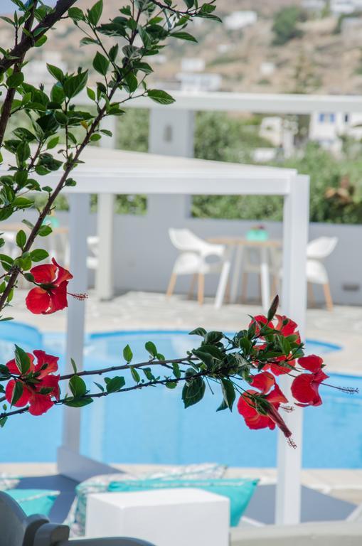 Island House Hotel Mylopotas Exterior photo